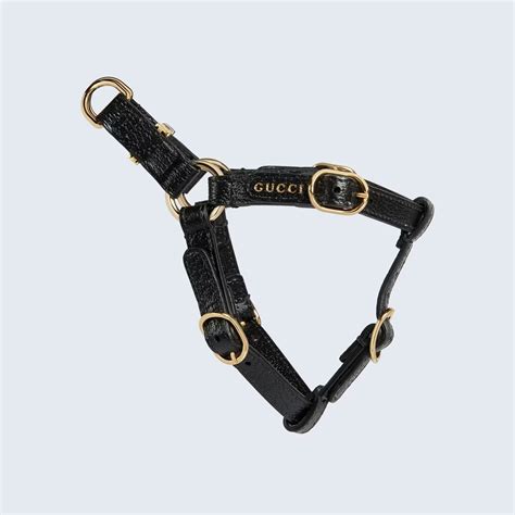 cat collar gucci|gucci designer cat collars.